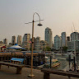 Meet your Posher, Rose